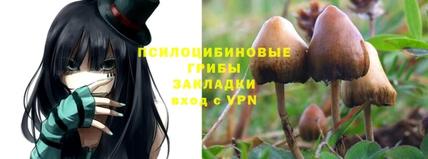 не бодяженный Абдулино